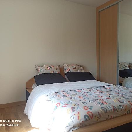 Super Appartement Avec Terasse Bischheim Zewnętrze zdjęcie