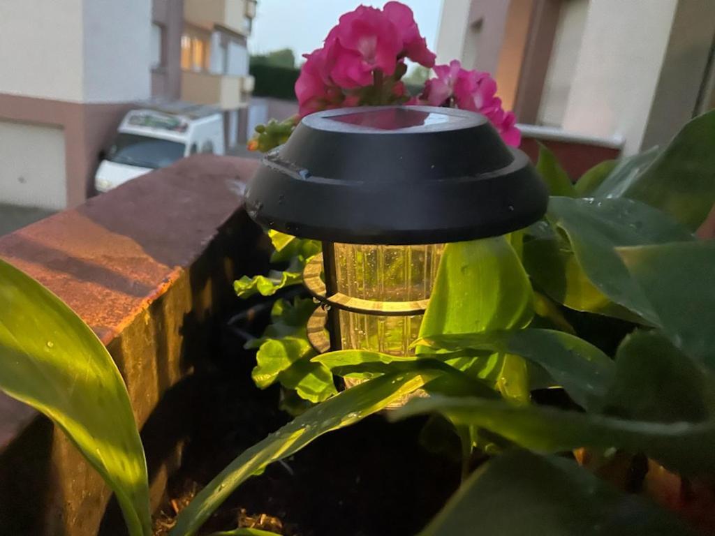 Super Appartement Avec Terasse Bischheim Zewnętrze zdjęcie